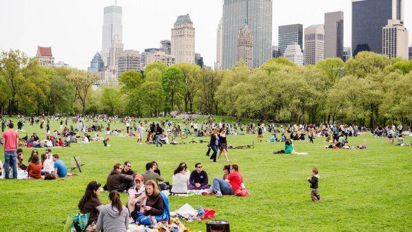 Центральный парк Нью-Йорк пикник