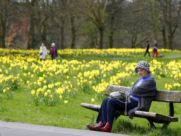 Красивый парк с людьми