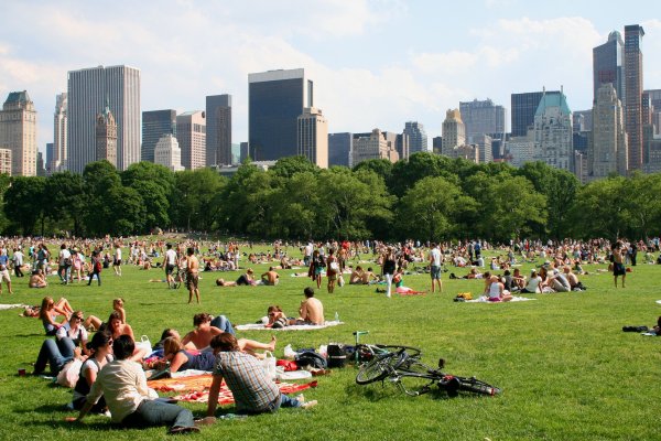 Центральный парк Нью-Йорка прогулка