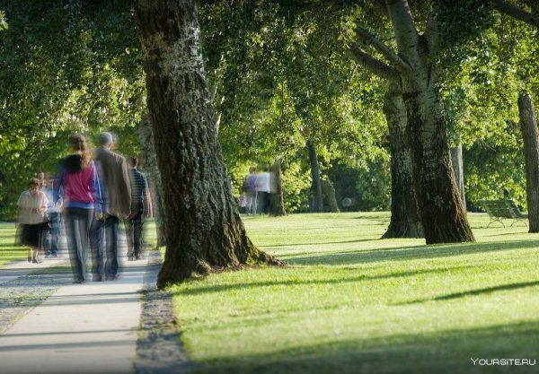 Прогулки в парках