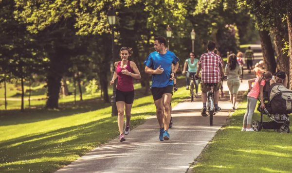 Летние прогулки