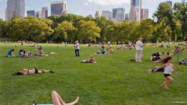 Парк много людей