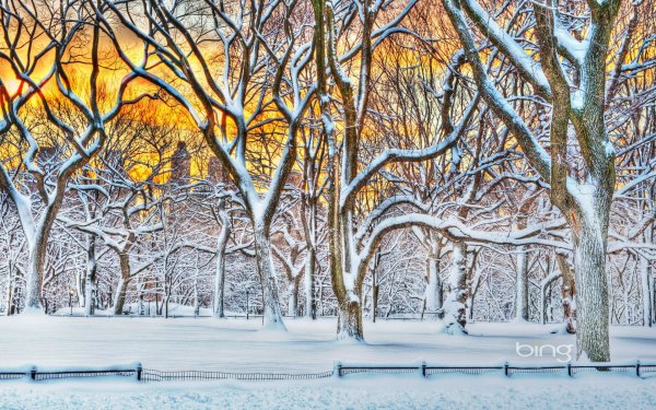 Зимний Нью-Йорк