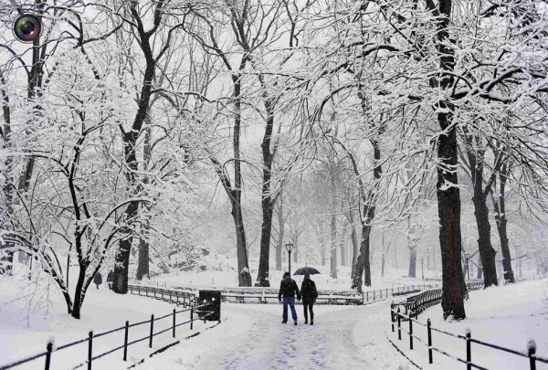 Прогулка в парке зимой