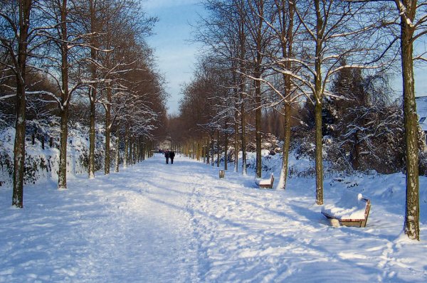 Экскурсия в зимний парк