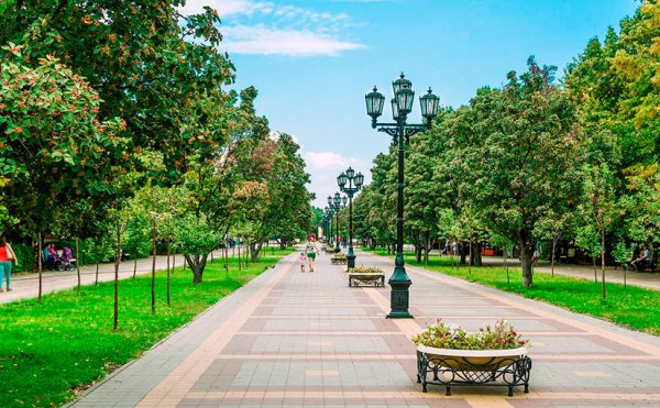 Городской парк сквер