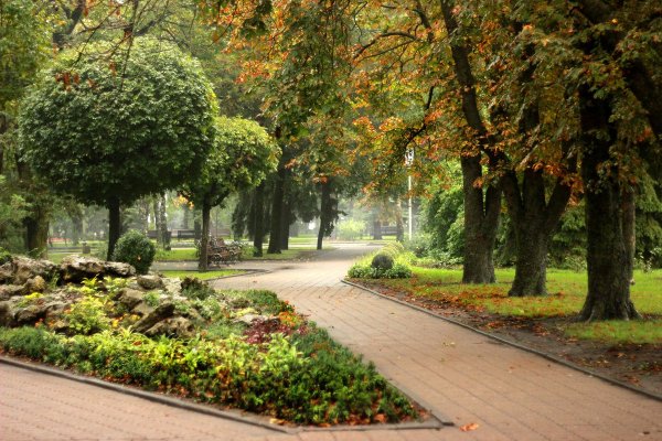 Парк город Ставрополь