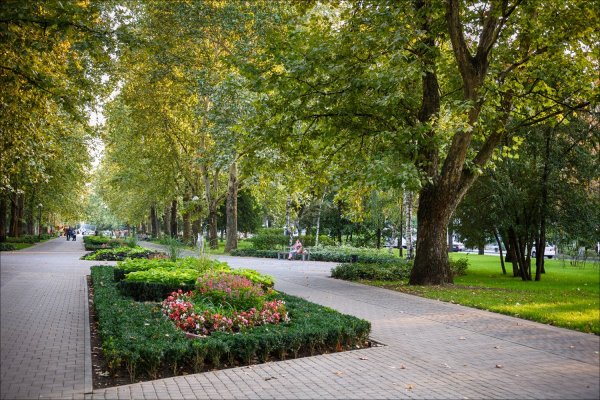 Сквер красная Краснодар