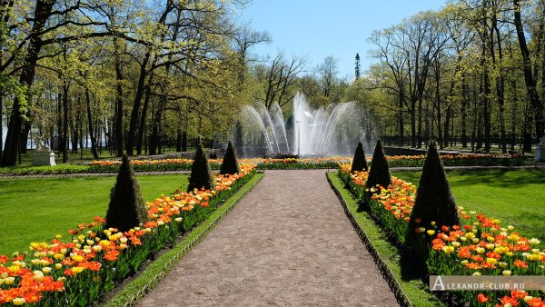 Петергоф, парк