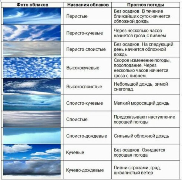 Какие виды облаков бывают