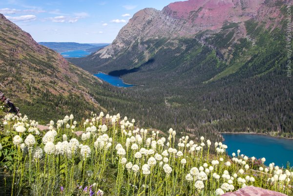 Заповедник красота