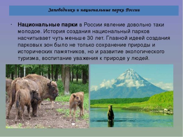 Заповедники нашей России и национальные парки