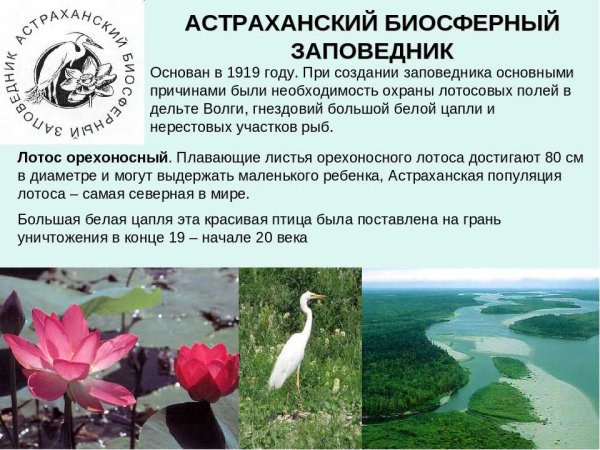 Заповедники России Астраханский заповедник
