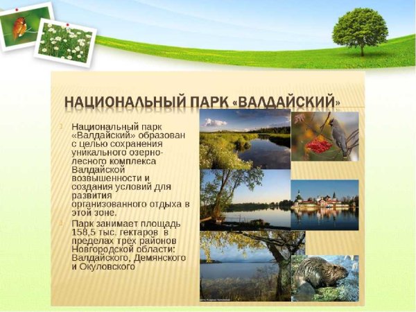 Заповедники и национальные парки