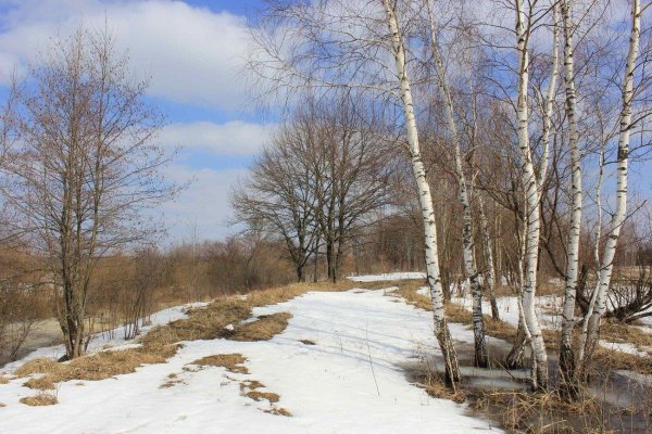 Ранняя Весна в России