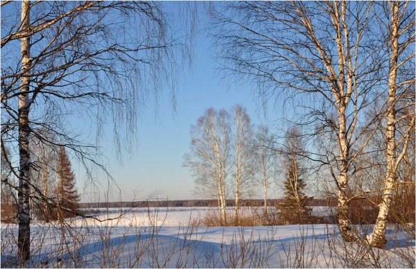 Природа в марте