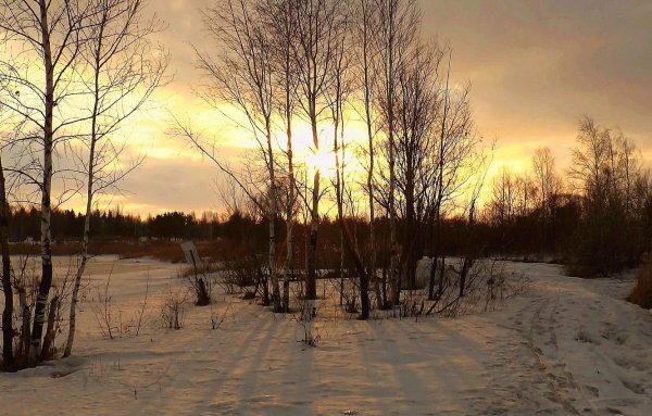 Март природа