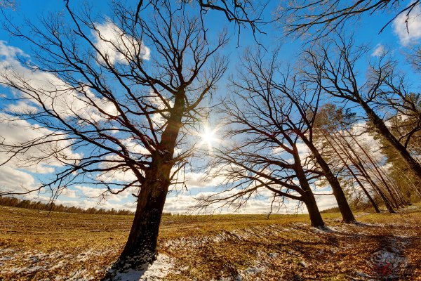 Солнечный весенний день