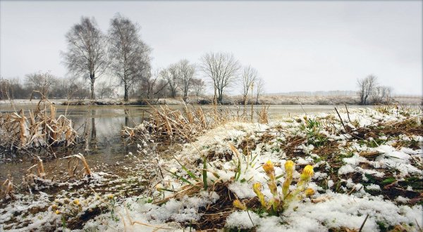 Ранняя Весна