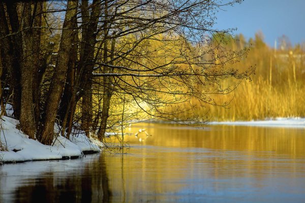 Ранняя Весна солнце