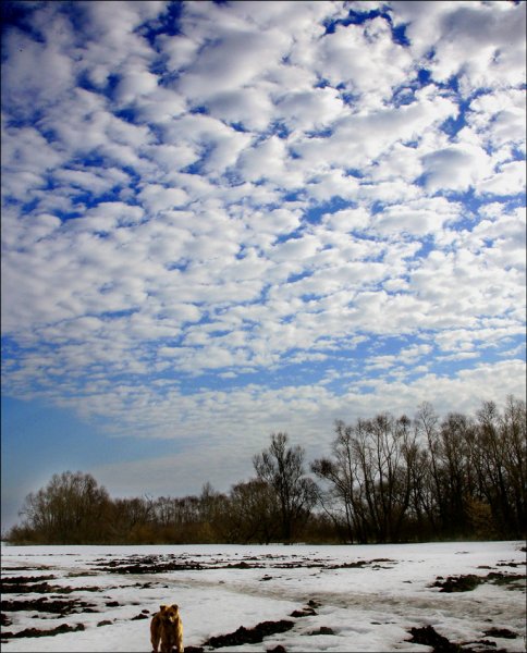 Март пейзажи фото