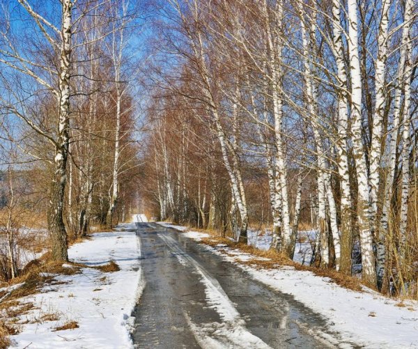 Природа ранней весной