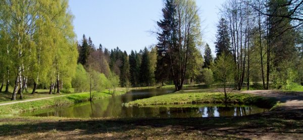 Шуваловский парк озера