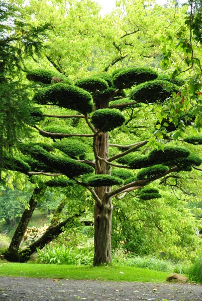 Парк Молеврие Франция