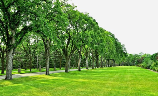 Сквер Раисы Штрейс Санкт-Петербург