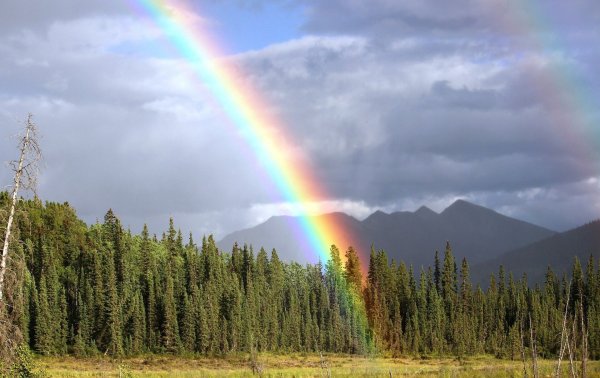 Радуга в природе