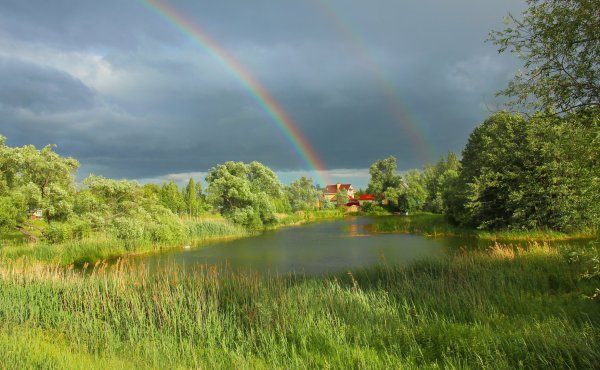 Летний пейзаж с радугой