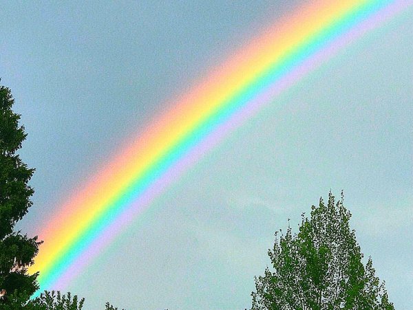 Радуга вертикально