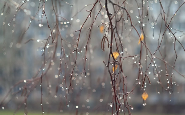 Весна капель