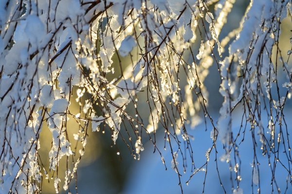 Весна капель