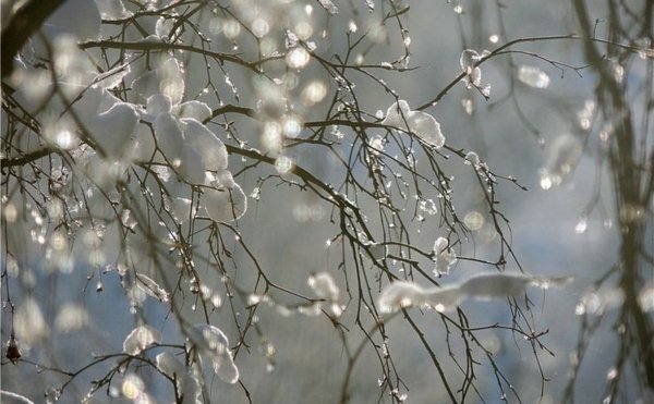 Снег идет весной