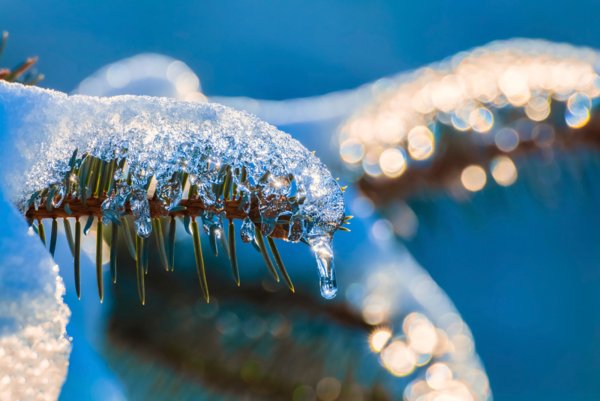 Потепление в декабре