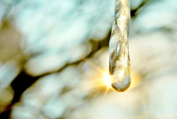 Капель солнце