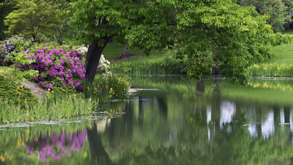 Парк Шеффилд Гарден,природа,цветы,деревья,