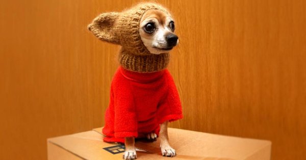 Одень шапку