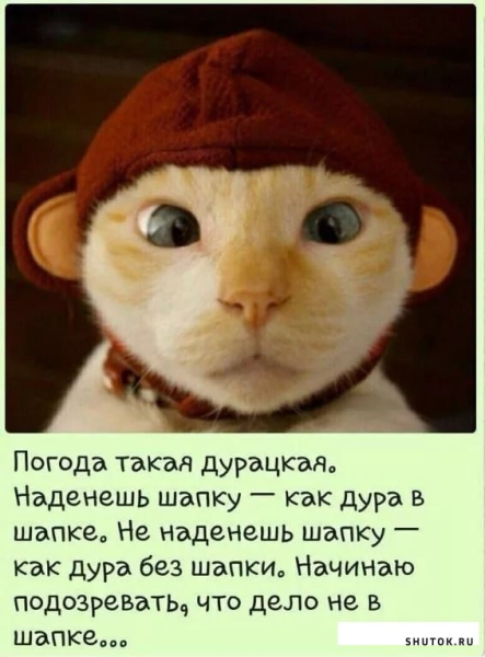 Одень шапку прикол