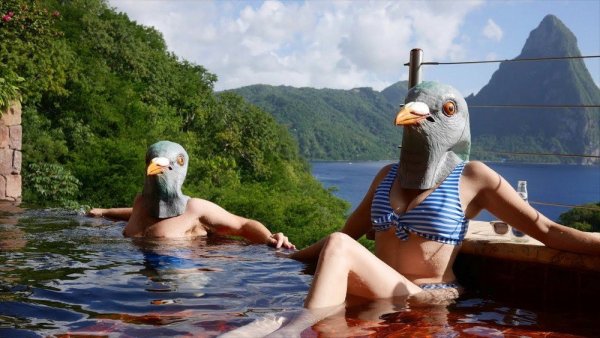 Картинки дурацкие для настроения