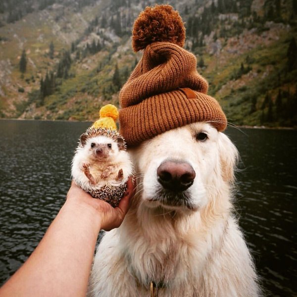 Осень не повод грустить