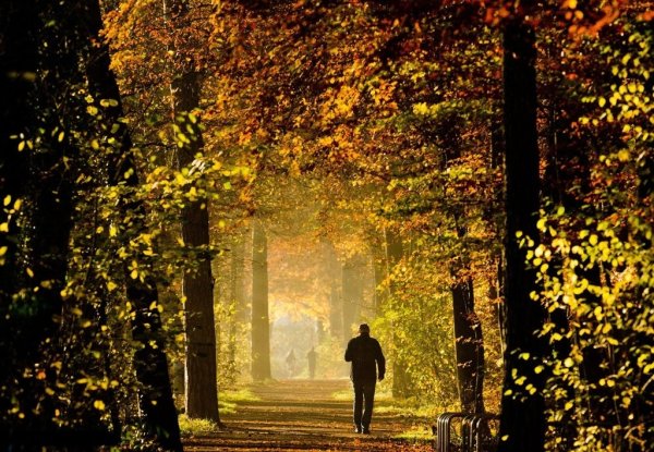 Мужчина в осеннем парке