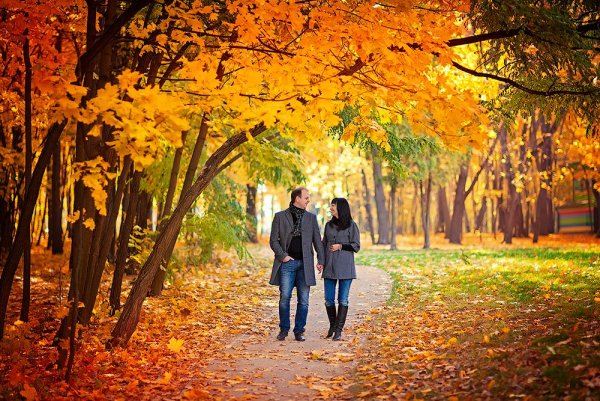 Осень пара в парке