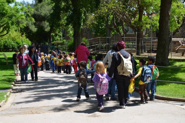 Школьники на прогулке