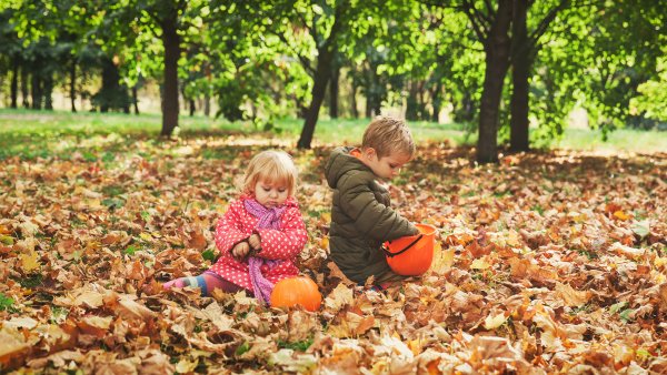Дети в парке