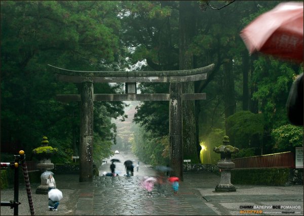 Япония дождь