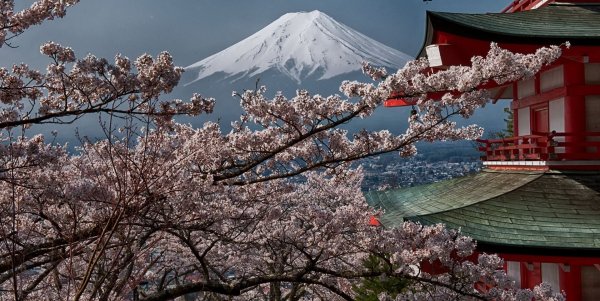 Гора Фудзияма и храм в Сакуре