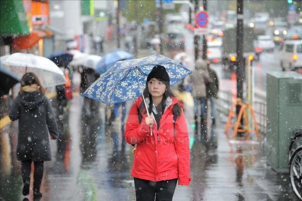 Климат Токио