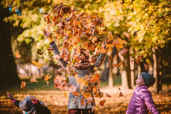 Осенний досуг